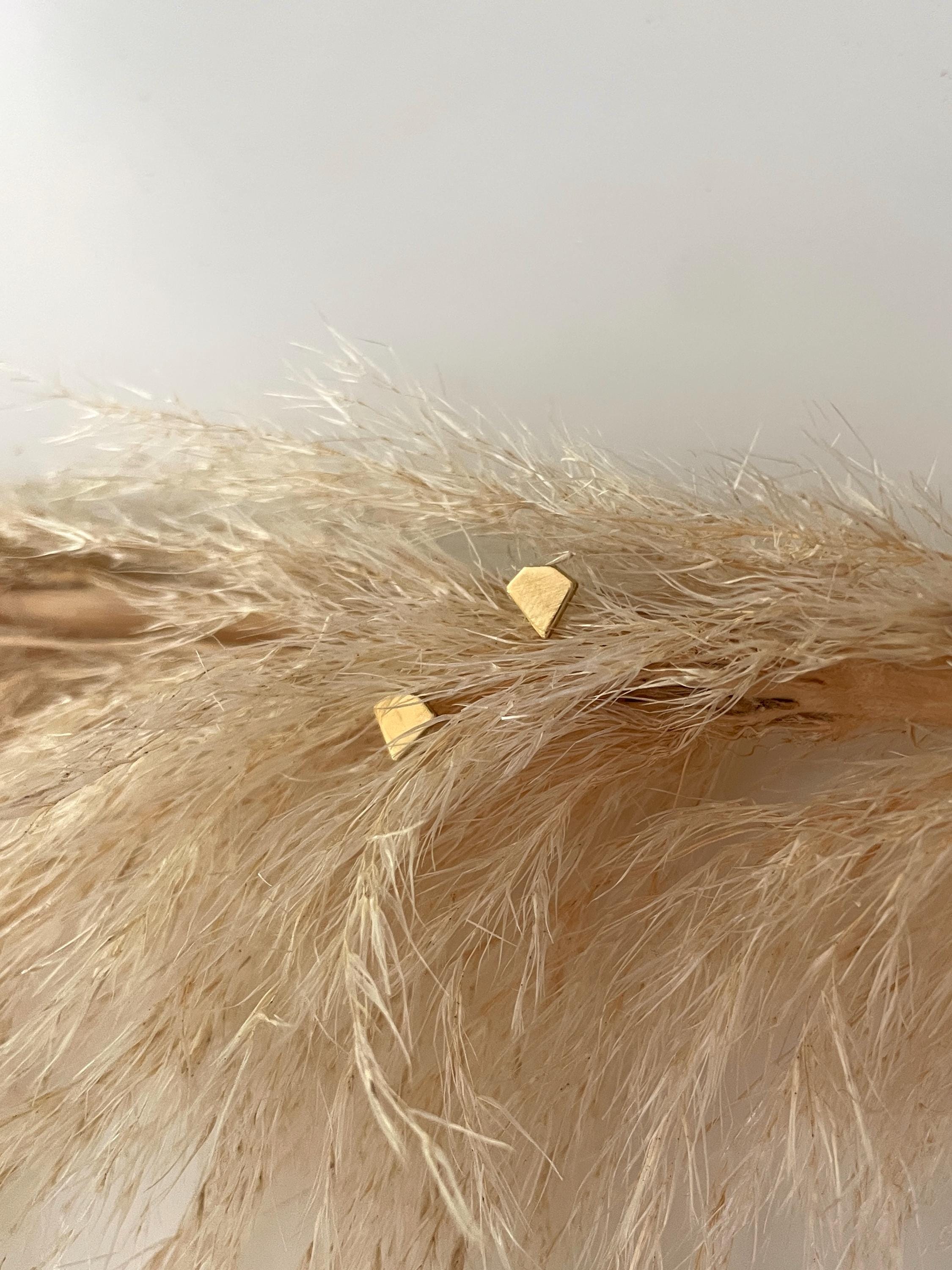 May include: Two gold-colored diamond-shaped stud earrings. The earrings are small and geometric, with a flat surface. They are displayed on a bed of dried, beige-colored ornamental grass. The earrings are a minimalist jewelry design, suitable for everyday wear.